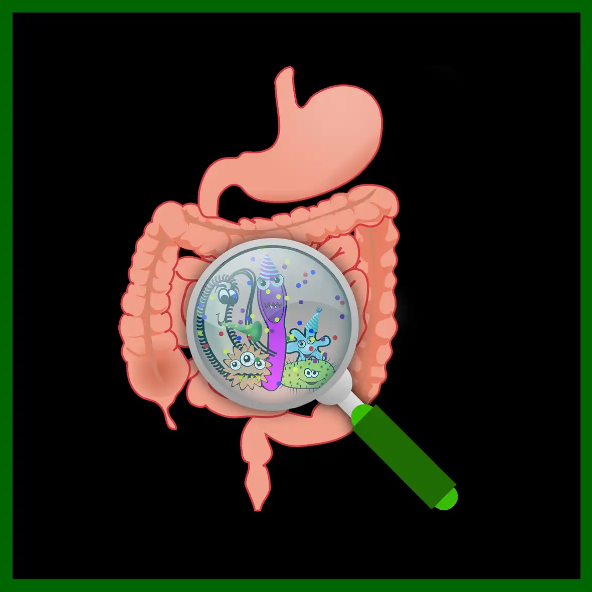 Screening Microbioma Intestinale